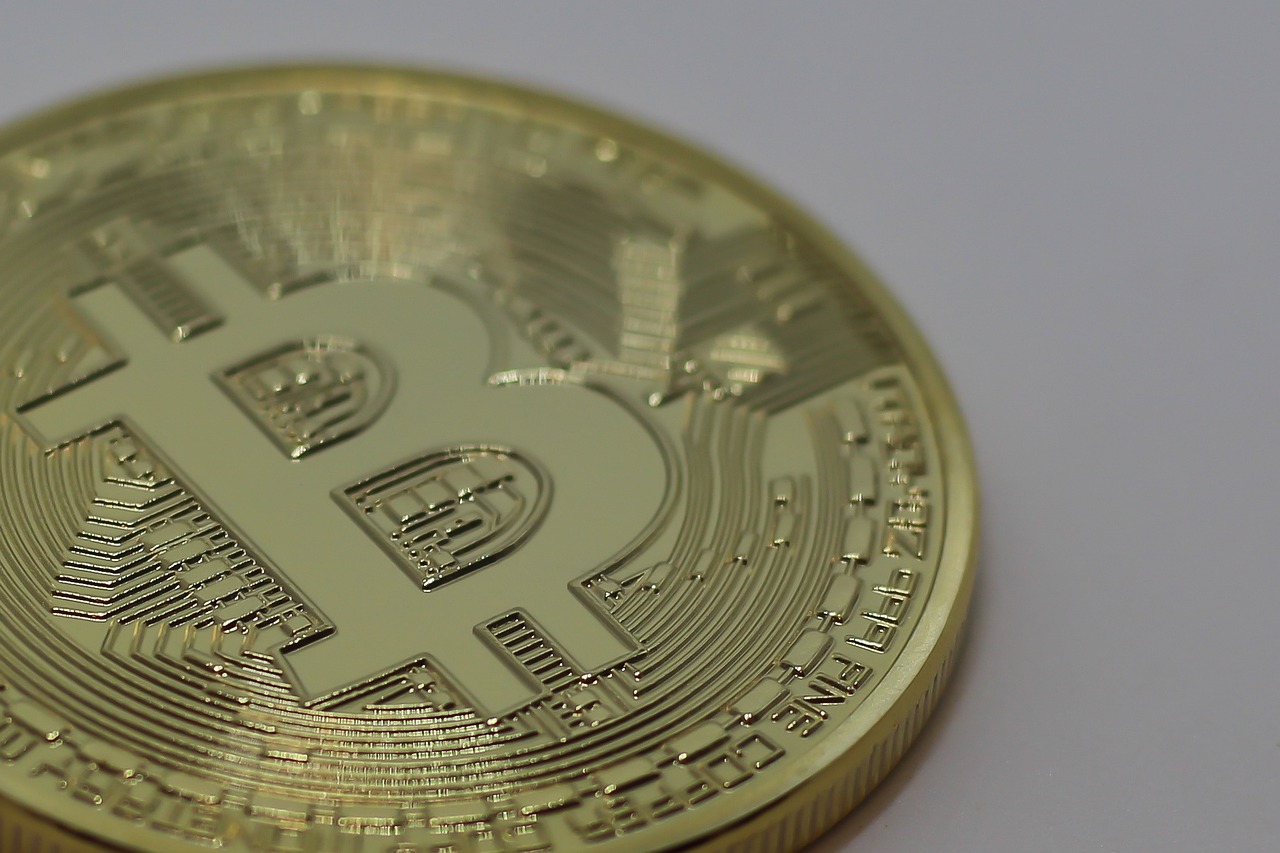 今日玉米最新价格分析与展望，市场动态及未来趋势解析