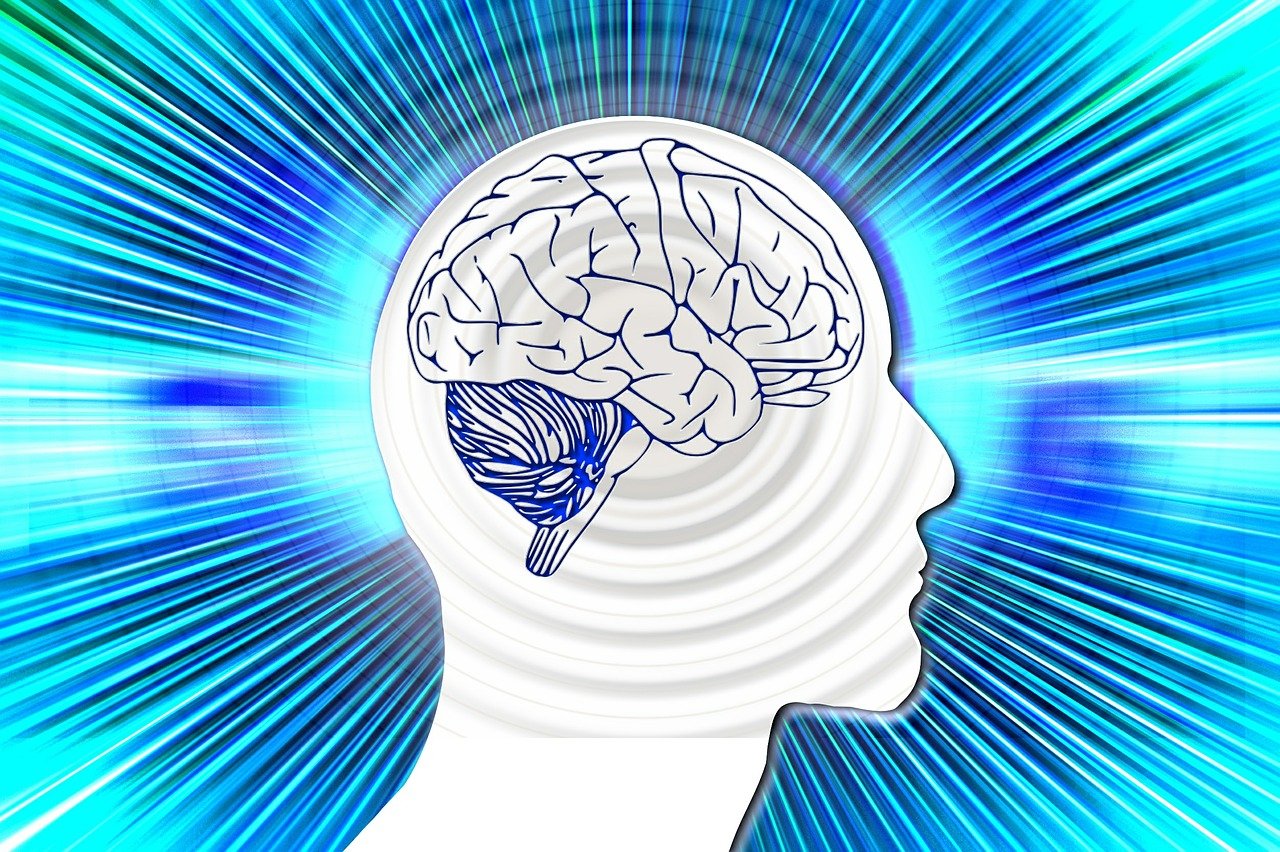 最新暴漫，探索动漫艺术的魅力与创新